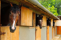 free Ham Common stable construction quotes